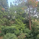 Apartment Vili, Oasis Step To The Sea