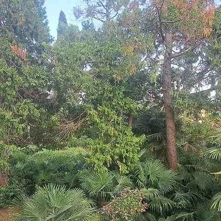 Apartment Vili, Oasis Step To The Sea